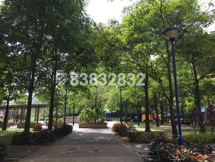 Blk 493 Admiralty Link (Sembawang), HDB 5 Rooms #131633602